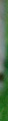 WelcomePage_04